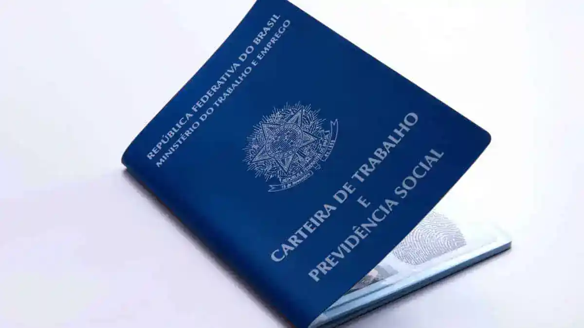 Como validar dados na Carteira de Trabalho Digital – Passo a Passo